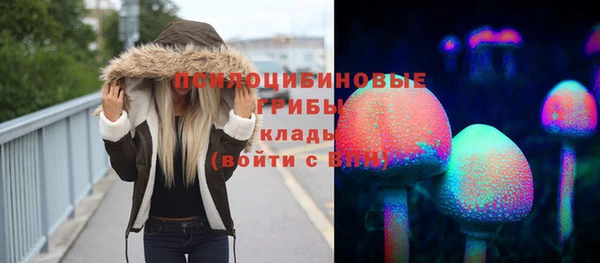 прущие грибы Волоколамск
