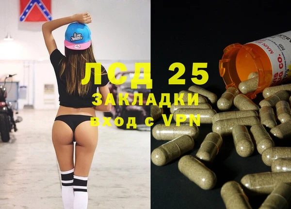 прущие грибы Волоколамск