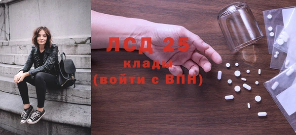 прущие грибы Волоколамск
