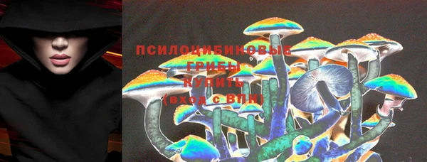прущие грибы Волоколамск