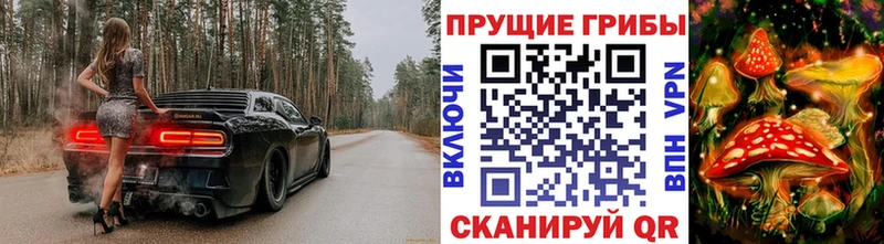 Галлюциногенные грибы мухоморы  Петропавловск-Камчатский 